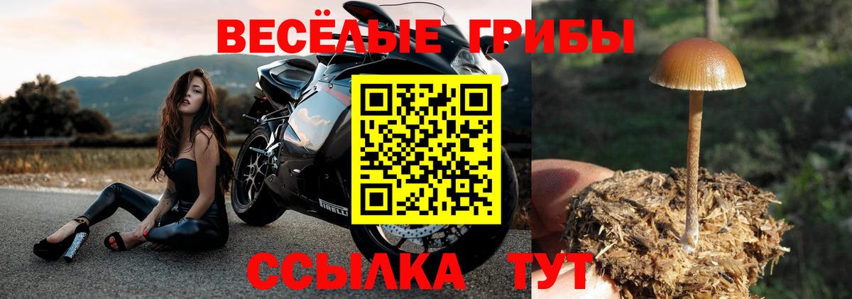 Галлюциногенные грибы мицелий  купить наркотик  Вход с VPN  Чернушка  Псилоцибиновые грибы мухоморы 